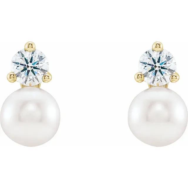 6.5mm Cultured Akoya Pearl & 0.50ctw Diamond Earrings in 14k Gold