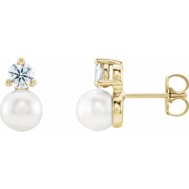 6.5mm Cultured Akoya Pearl & 0.50ctw Diamond Earrings in 14k Gold