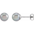 7mm Freshwater Grey Pearl Earrings in 14k White Gold