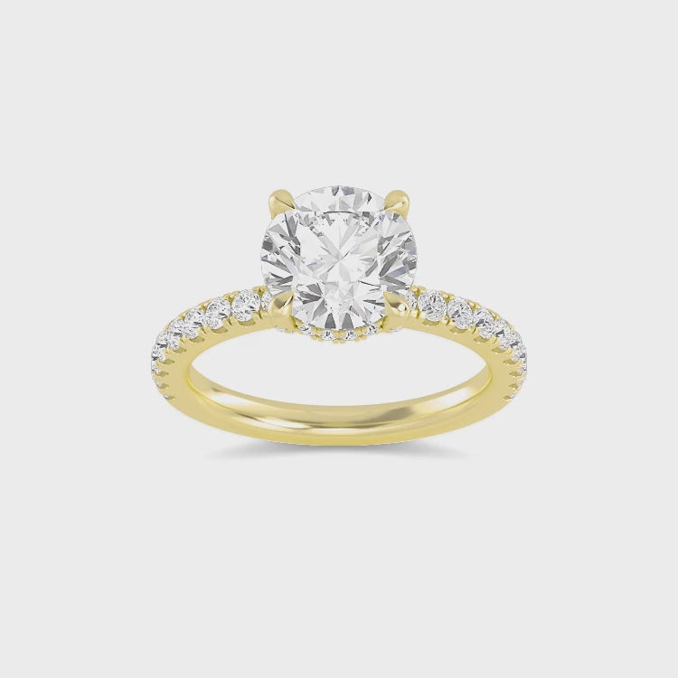 The Natasha 2.70ctw Round cut Lab Grown Diamond Hidden Halo Engagement Ring