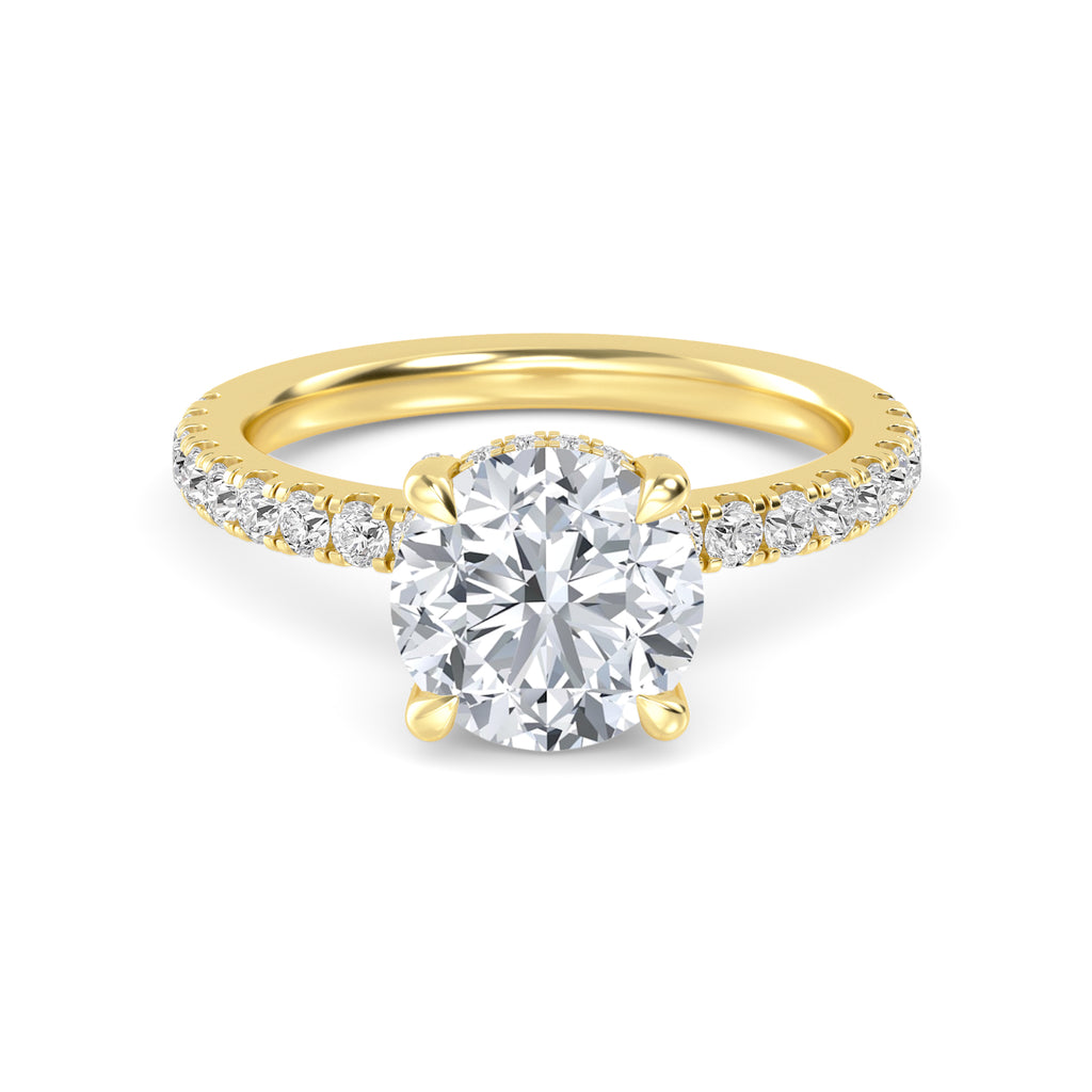 The Natasha 2.70ctw Round cut Lab Grown Diamond Hidden Halo Engagement Ring