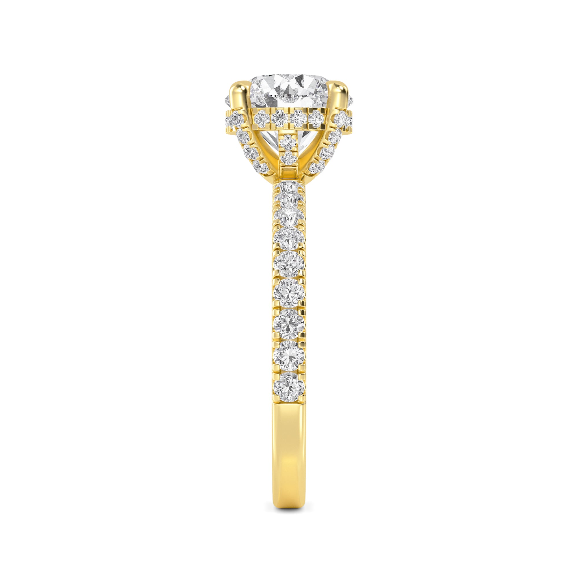 The Natasha 2.70ctw Round cut Lab Grown Diamond Hidden Halo Engagement Ring