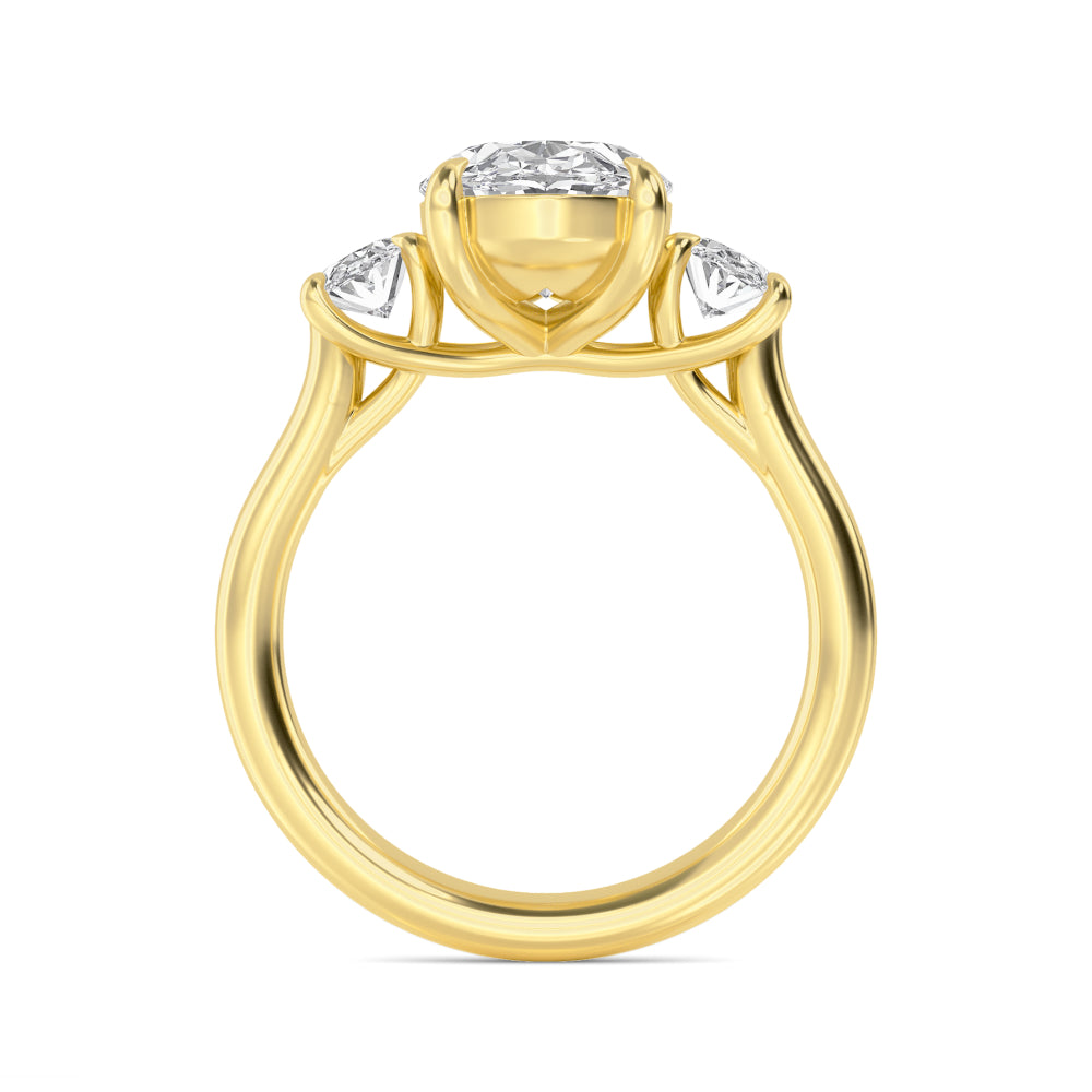 3.70ctw Oval cut Lab Grown Diamond Trilogy Engagement Ring